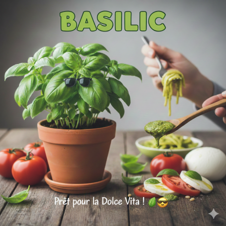 Basilic